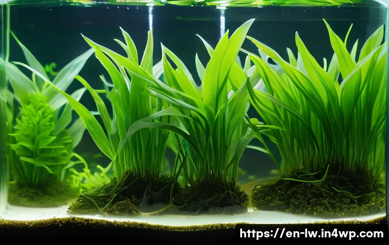 Exploring 7 Groundbreaking Trends Shaping the Future of Natural Water Purification Systems 4 자연형 물 정화 시스템의 미래 전망 관련 이미지 2